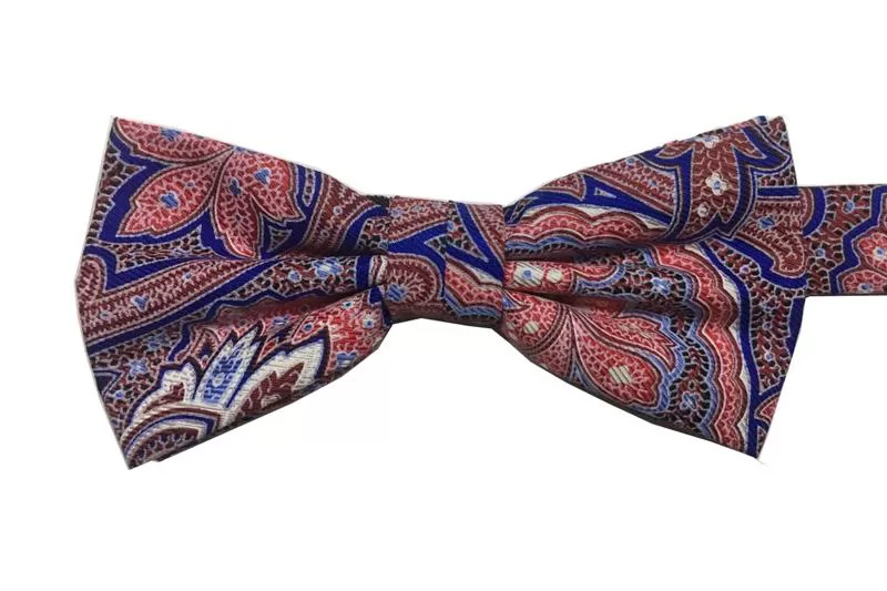 EXBOT21015 Wine Multicolour Silk Trendy Bow Tie