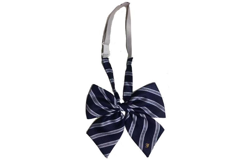 EXBOT21001 Navy Polyester Jacqaurd Fashion Bow Tie