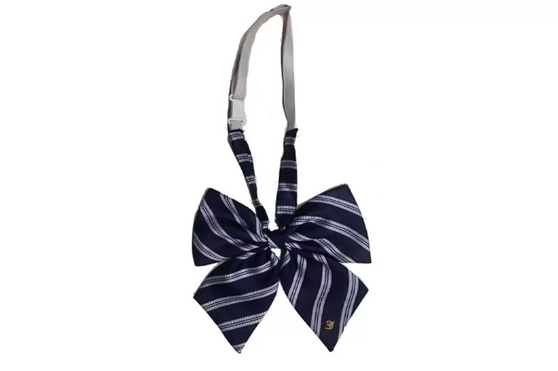 EXBOT21001 Navy Polyester Jacqaurd Fashion Bow Tie