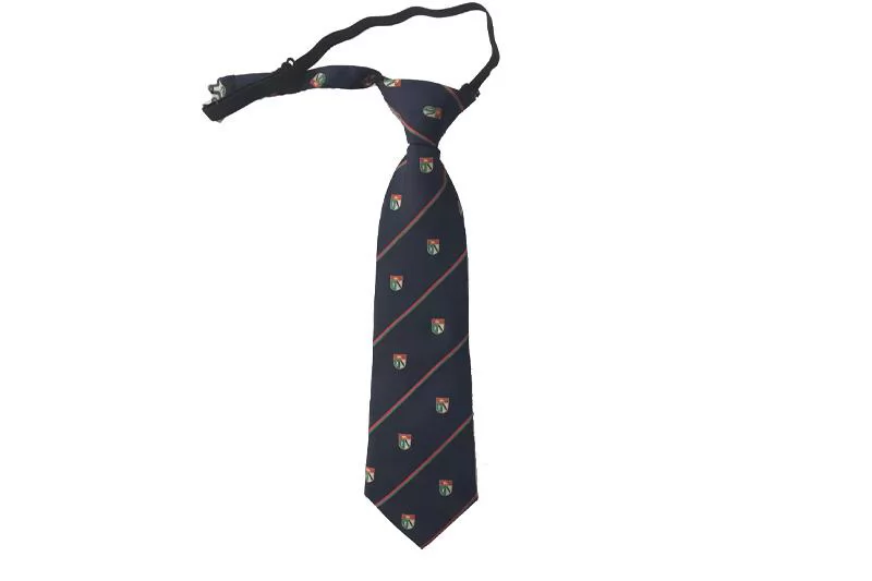 EXTIE21002 Navy Polyester Classical School Ties