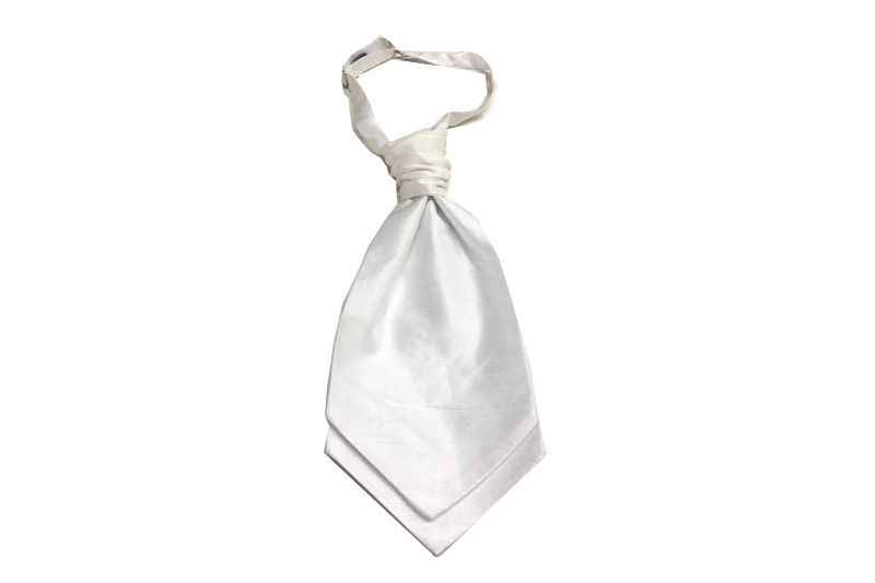 EXASCOT21004 Silver Polyester Classical Ceremony tie