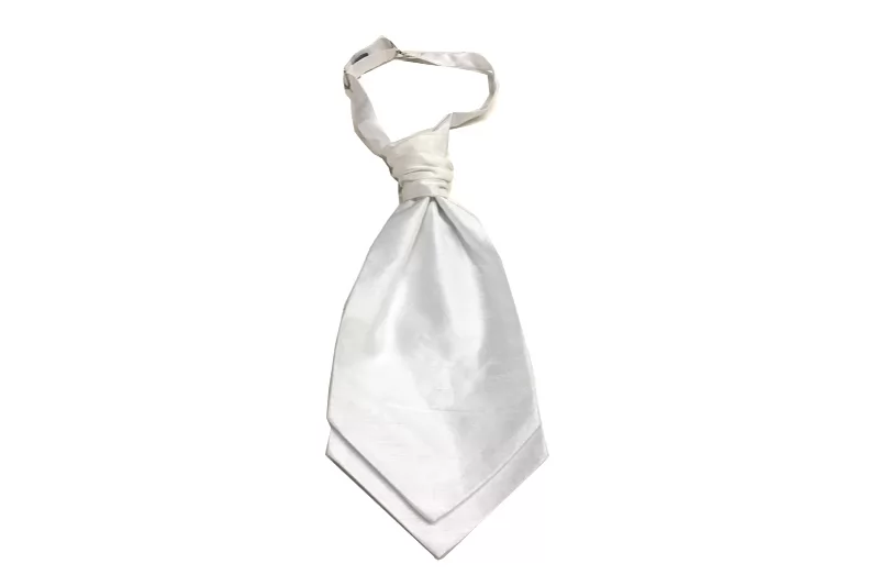 EXASCOT21004 Silver Polyester Classical Ceremony tie