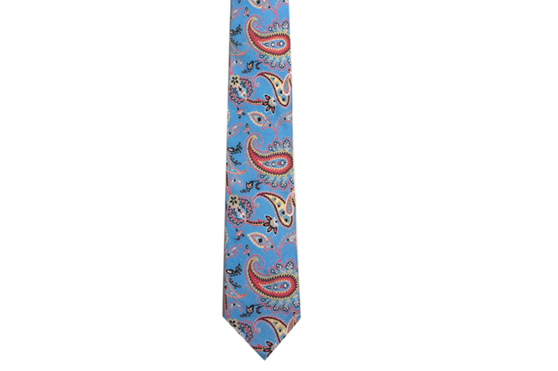 EXTIE21014 Paisley Linen Fashion Neckties