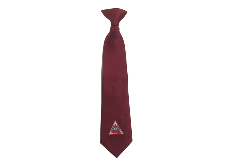 EXTIE21018 Wine Polyester Business Tie