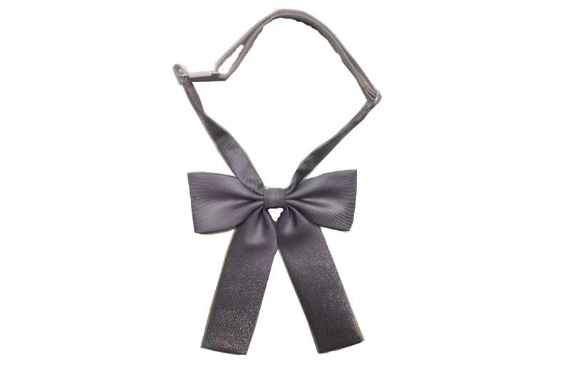 EXBOT21002 Pewter Grey Polyester Classical Fashion Bow Tie
