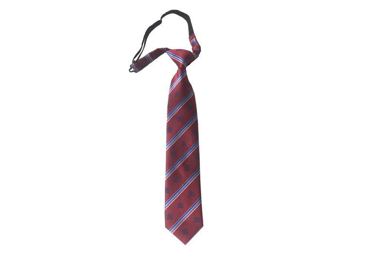 EXTIE21013 Red Twill Polyester Fashion School Ties